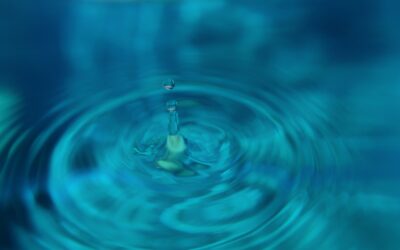 El papel del agua en la sostenibilidad corporativa